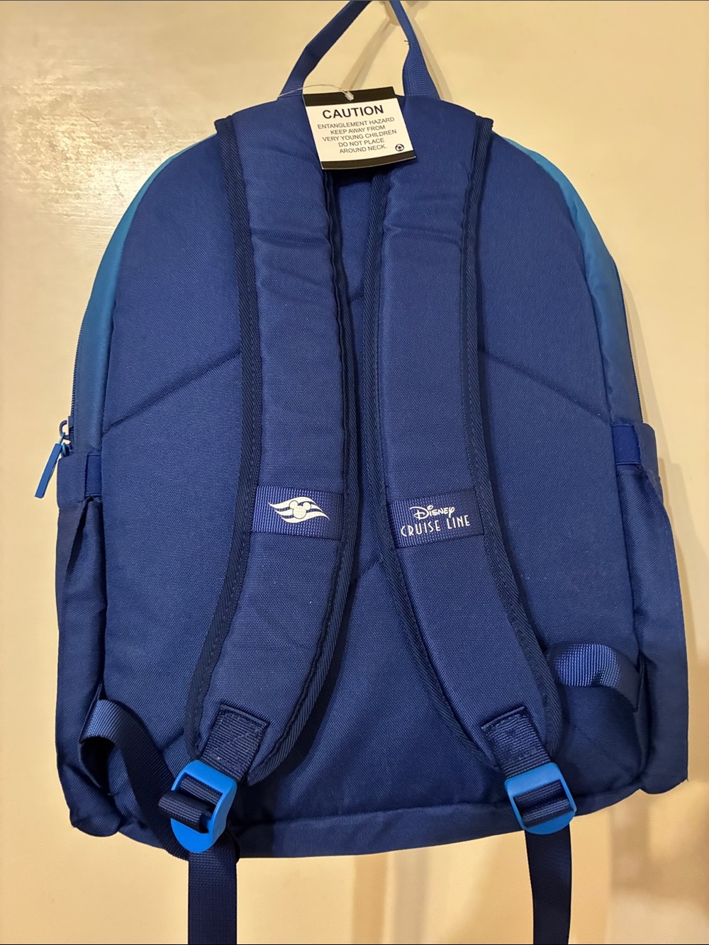 NWT Disney Cruise Line, Castaway Club, backpack, and water bottle - Picture 2 of 11
